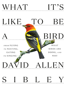 David Allen Sibley, What It’s Like to Be a Bird: From Flying to Nesting, Eating to Singing—What Birds Are Doing, and Why&nbsp;(New York: Knopf, 2020), 203pp.&nbsp;